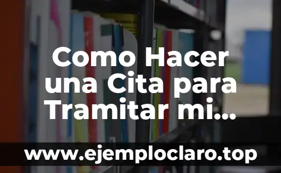 C贸mo hacer que se decida a ser mi novio 6 Como Hacer una Cita para Tramitar mi Credencial de Elector