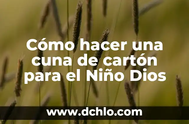 Planta Cuna de Moisés: Un Misterio que Perdura 8 Cómo hacer una cuna de cartón para el Niño Dios