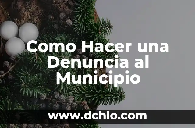 Cómo hacer una prótesis para perros pata trasera 7 Como Hacer una Denuncia al Municipio