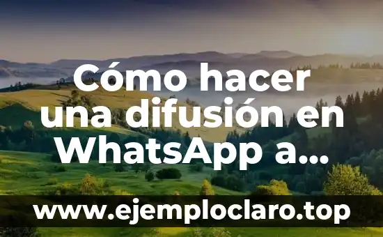 ¿Es Bueno Lavar el Pelo Todos los Días? Descubre la Verdad 3 Cómo hacer una difusión en WhatsApp a todos mis contactos