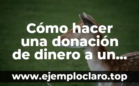 Cómo hacer una donación de dinero a un hijo