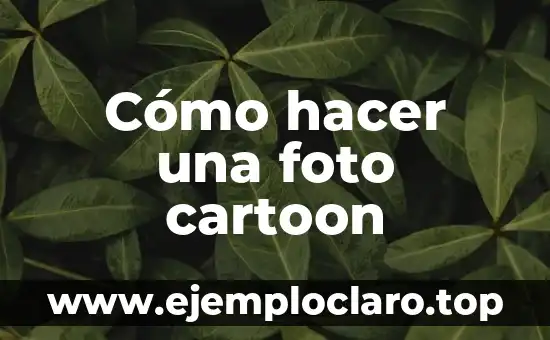 Cómo hacer una foto cartoon