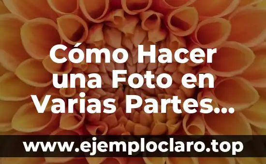 Significado de la Descarga de Partes Individuales 6 Cómo Hacer una Foto en Varias Partes en Instagram