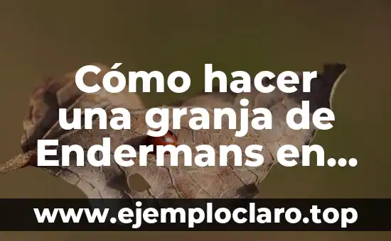 Como hacer conciencia conservacionista de una empresa 5 Cómo hacer una granja de Endermans en Minecraft