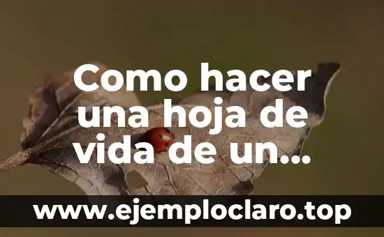 Como hacer una hoja de vida de un computador