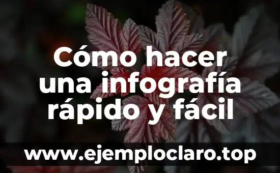 Cómo hacer una infografía rápido y fácil