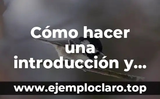 Introducción al significado de un grupo 6 Cómo hacer una introducción y conclusión de un trabajo