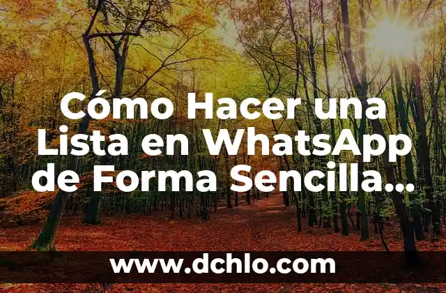 Cómo Hacer una Dieta para Perder Peso de Forma Segura y Efectiva 4 Cómo Hacer una Lista en WhatsApp de Forma Sencilla y Efectiva