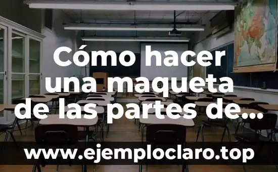 Significado de la Descarga de Partes Individuales 4 Cómo hacer una maqueta de las partes de la planta