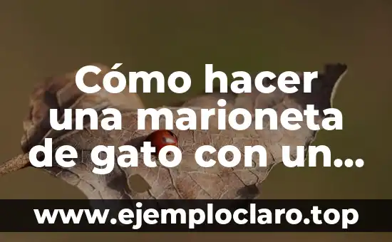 Cómo hacer una marioneta de gato con un calcetín