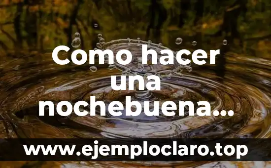 Como hacer una nochebuena con tubos de papel higiénico