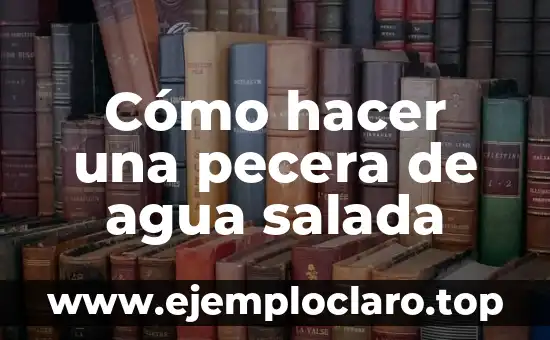 Cómo hacer una pecera de agua salada