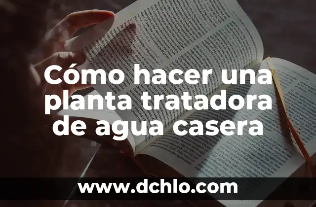 Planta Lazos de Amor, un Símbolo de Devoción 7 Cómo hacer una planta tratadora de agua casera