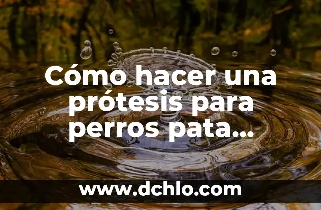 Cómo hacer extracto de neem casero 3 Cómo hacer una prótesis para perros pata trasera