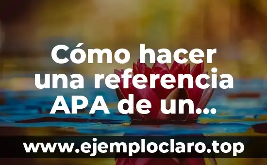 Cómo hacer una referencia APA de un artículo de internet
