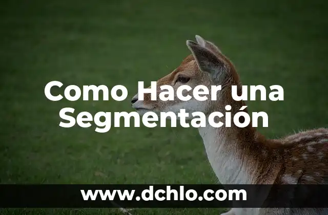 Cómo hacer un romboedro 7 Como Hacer una Segmentación