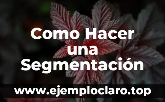 Como Hacer una Segmentación