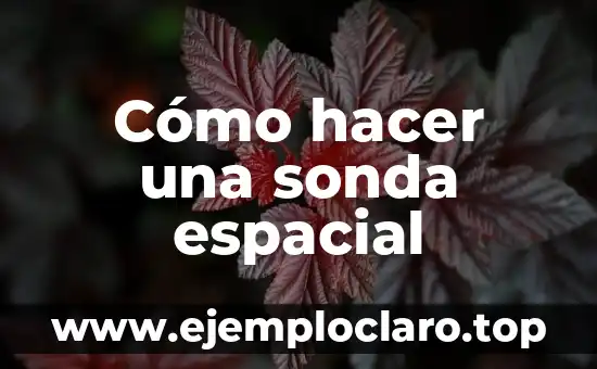 Significado de Sonda 5 Cómo hacer una sonda espacial