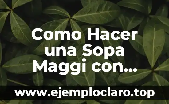 Como Hacer una Sopa Maggi con Pollo