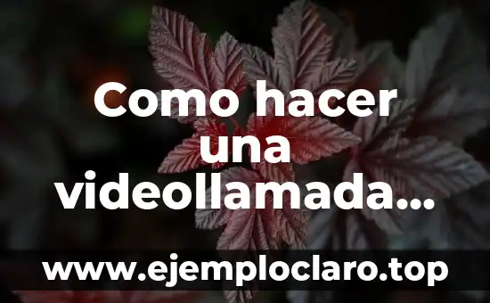 Como hacer una videollamada grupal en WhatsApp Web