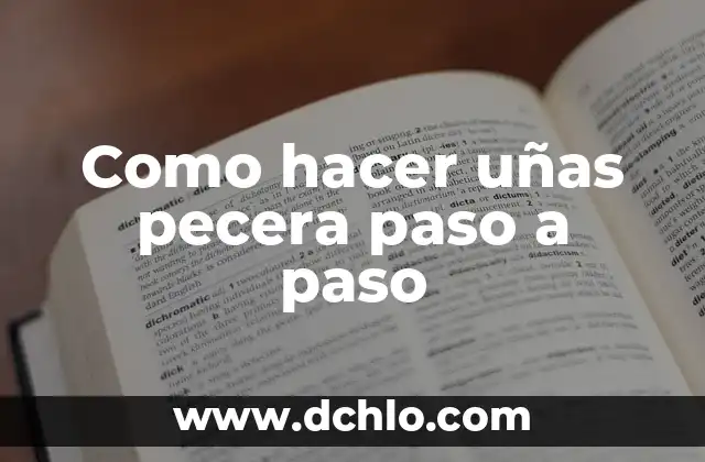C贸mo hacer una pecera de agua salada 3 Como hacer u帽as pecera paso a paso