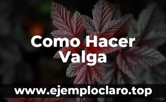 Como Hacer Valga