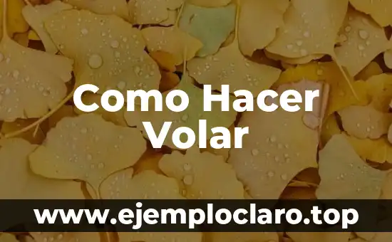 Como Hacer Volar