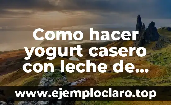 Como hacer yogurt casero con leche de almendras