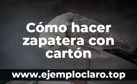 Cómo hacer un fuerte de cartón para soldaditos 3 Cómo hacer zapatera con cartón