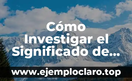 Cómo Investigar el Significado de Afectivos: Una Guía Completa