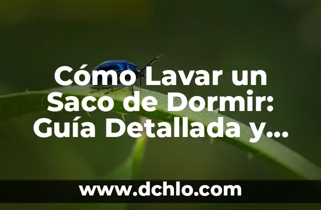 Significado de Ya Sacó Boleto - Una Expresión Argentina con Gran Colorido 8 Cómo Lavar un Saco de Dormir: Guía Detallada y Práctica