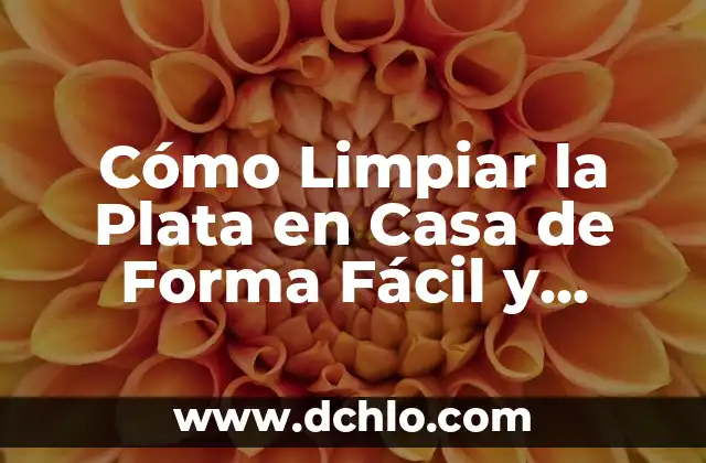 Cómo Limpiar la Pantalla del Móvil de Forma Segura y Efectiva 6 Cómo Limpiar la Plata en Casa de Forma Fácil y Efectiva