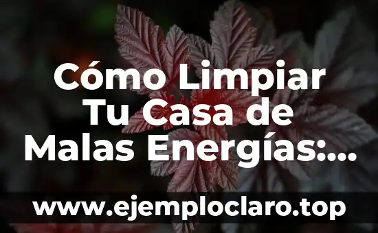 Cómo Limpiar Tu Casa de Malas Energías: Guía Práctica y Espiritual