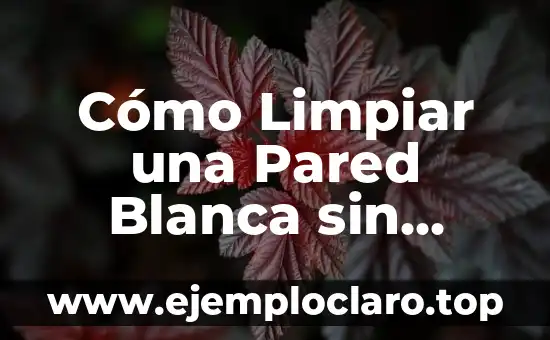 Cómo Limpiar una Pared Blanca sin Quitar la Pintura: Guía Detallada