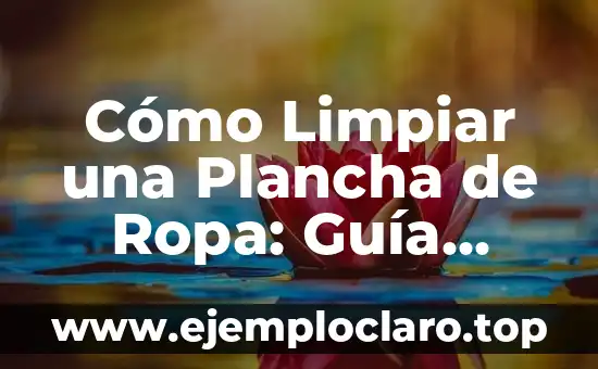 Cómo Planchar el Pelo Sin Plancha: Consejos y Técnicas Alternativas 8 Cómo Limpiar una Plancha de Ropa: Guía Completa y Detallada
