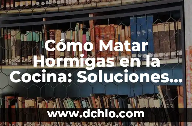 Significado de Hormigas Rojas 4 Cómo Matar Hormigas en la Cocina: Soluciones Efectivas y Seguras