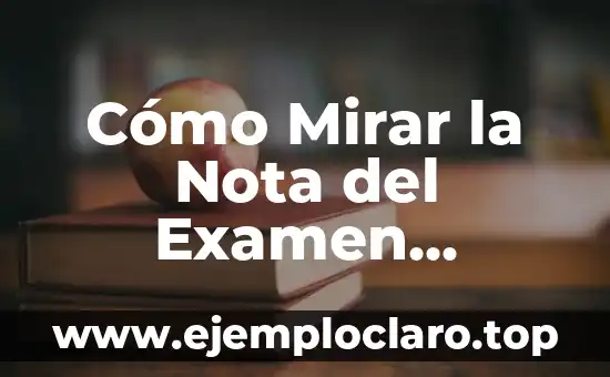 Cómo Mirar la Nota del Examen Teórico de Conducir Online