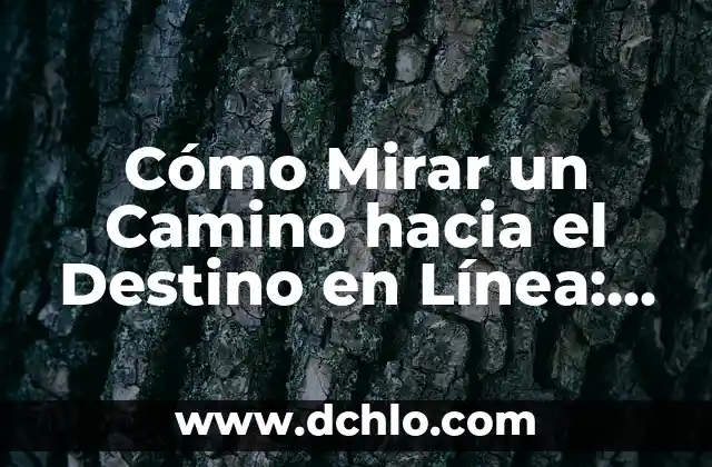 Buscar el significado de social: Un viaje hacia la comprensión humana 6 Cómo Mirar un Camino hacia el Destino en Línea: Estrategias para el Éxito