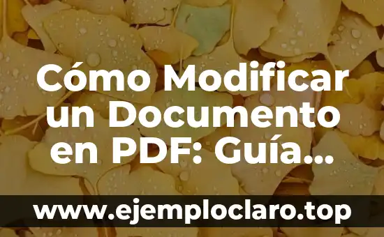 Cómo Modificar un Documento en PDF: Guía Completa