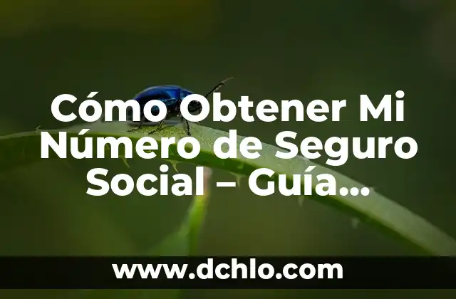 Cómo Crear un Correo Electrónico Hotmail GRATIS y Seguro 5 Cómo Obtener Mi Número de Seguro Social – Guía Completa