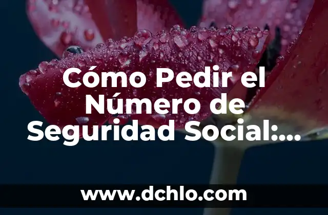 Mecanismo de Control Social: Un Enfoque en su Significado e Importancia 8 Cómo Pedir el Número de Seguridad Social: Guía Detallada