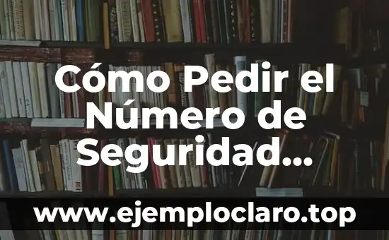Cómo Pedir el Número de Seguridad Social: Guía Detallada