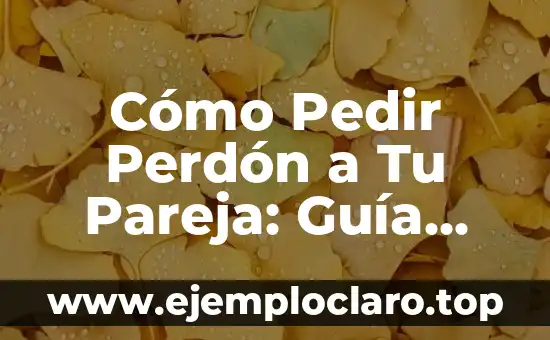Significado del Valor del Perdón 5 Cómo Pedir Perdón a Tu Pareja: Guía Definitiva para Sanar y Fortalecer Tu Relación
