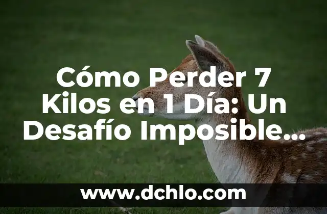 Barreras de significado: El desafío de la comunicación en la era digital 5 Cómo Perder 7 Kilos en 1 Día: Un Desafío Imposible o Realizable