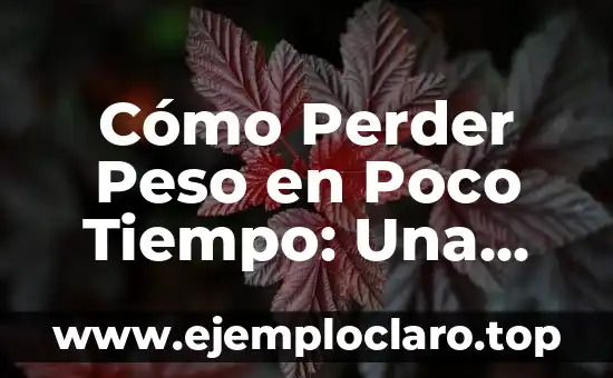 El Anacronismo: Un Viaje en el Tiempo de la Historia y la Cultura 4 Cómo Perder Peso en Poco Tiempo: Una Guía Completa y Efectiva