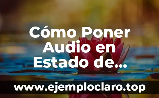 Cómo Hacer una Transmisión de Audio en Facebook 5 Cómo Poner Audio en Estado de WhatsApp
