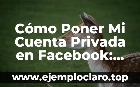 Cómo Poner Letra en Negrita en WhatsApp - Guía Práctica 8 Cómo Poner Mi Cuenta Privada en Facebook: Una Guía Detallada