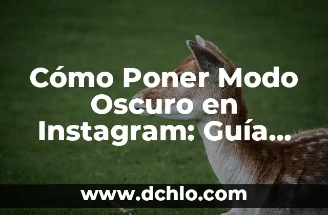 Por qué no puedo poner música en las notas de Instagram: Soluciones y Alternativas 5 Cómo Poner Modo Oscuro en Instagram: Guía Útil y Fácil