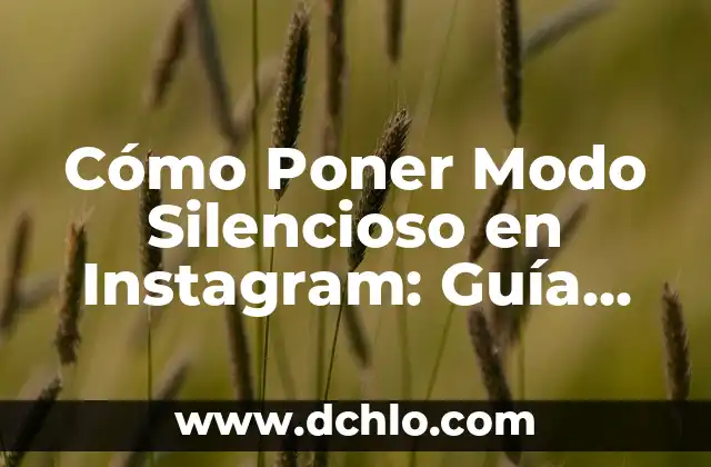 Significado del Modo de Lavado 5 Cómo Poner Modo Silencioso en Instagram: Guía Definitiva
