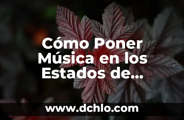 Mexico: Un Viaje a Través de los Significados de sus Estados 6 Cómo Poner Música en los Estados de WhatsApp (Exacta)